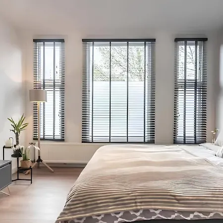 Bright King With Shared Bathroom At Zuid Amszterdam
